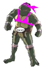 Mammal Turtle