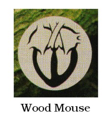 Mouse Heart