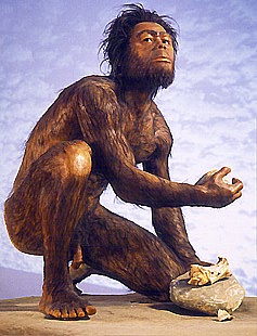 circumcised habilis